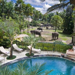Elephant Safari Park Lodge